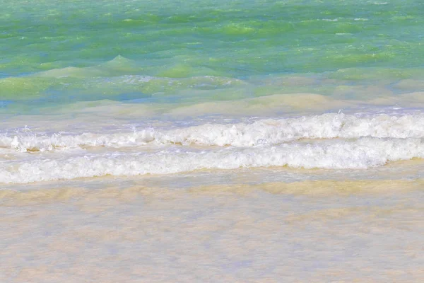 Panorama Landskap Utsikt Över Vackra Holbox Sandstrand Och Strand Med — Stockfoto