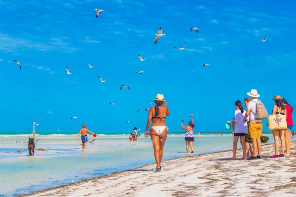 Holbox Mexico December 2021 Panorama Landscape View Beautiful Holbox Island — стокове фото