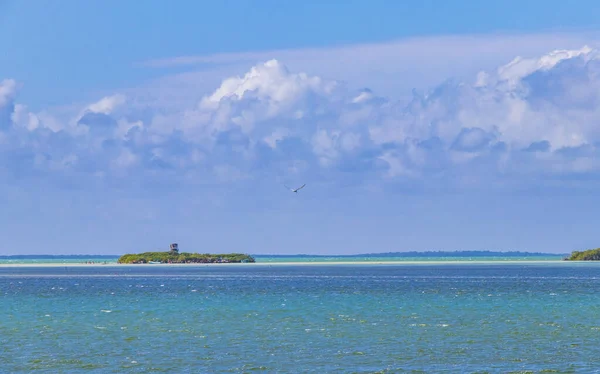 Panorama Landscape View Beautiful Holbox Island Isla Pasion Nature Natural – stockfoto