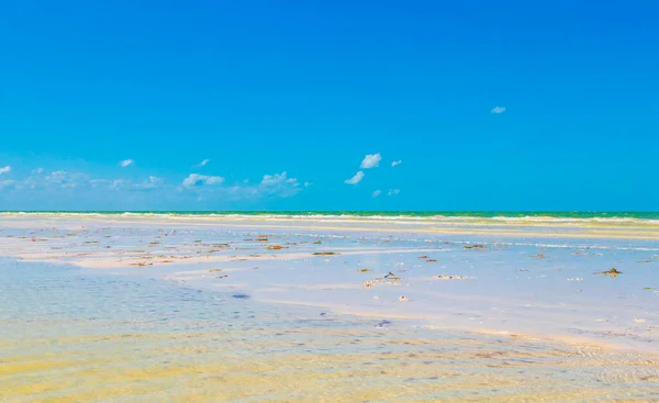 Panoramablick Auf Die Schöne Holbox Insel Sandbank Und Strand Mit — Stockfoto
