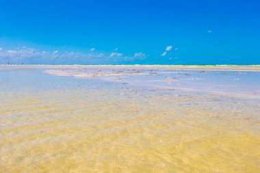 Panorama manzaralı güzel Holbox adası kumsalı ve kumsalı Quintana Roo Mexico 'da turkuvaz su ve mavi gökyüzü.