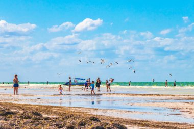 Holbox Meksika 22. Aralık 2021 'de Panorama manzarası güzel Holbox adası kumsalında ve sahilde dalgalar turkuaz su ve mavi gökyüzü Quintana Roo Mexico' da.