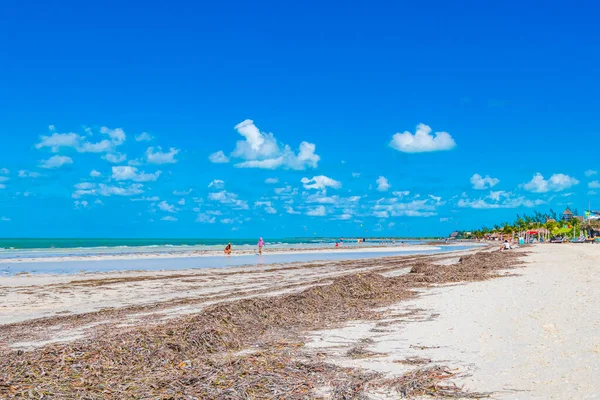 Holbox Mexico Dicembre 2021 Panorama Vista Paesaggio Sulla Bellissima Isola — Foto Stock