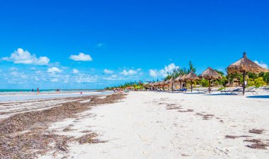Holbox Meksika 22. Aralık 2021 'de Panorama manzarası güzel Holbox adası kumsalında ve sahilde dalgalar turkuaz su ve mavi gökyüzü Quintana Roo Mexico' da.
