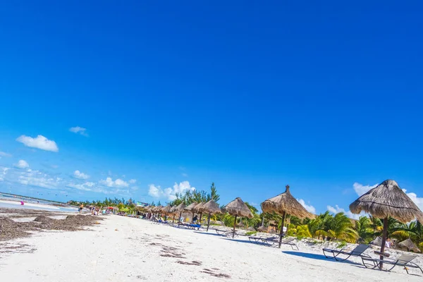 Holbox Meksika Aralık 2021 Panorama Manzarası Güzel Holbox Adası Kumsalında — Stok fotoğraf