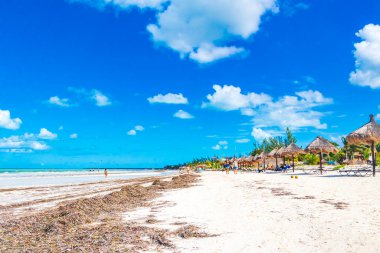 Holbox Meksika 22. Aralık 2021 'de Panorama manzarası güzel Holbox adası kumsalında ve sahilde dalgalar turkuaz su ve mavi gökyüzü Quintana Roo Mexico' da.