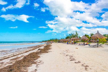Holbox Meksika 22. Aralık 2021 'de Panorama manzarası güzel Holbox adası kumsalında ve sahilde dalgalar turkuaz su ve mavi gökyüzü Quintana Roo Mexico' da.