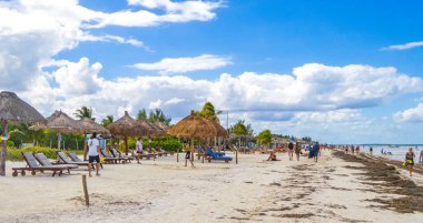 Holbox Meksika 22. Aralık 2021 'de Panorama manzarası güzel Holbox adası kumsalında ve sahilde dalgalar turkuaz su ve mavi gökyüzü Quintana Roo Mexico' da.
