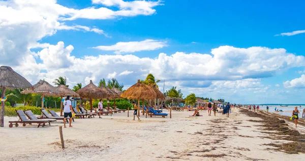 Holbox Meksika Aralık 2021 Panorama Manzarası Güzel Holbox Adası Kumsalında — Stok fotoğraf