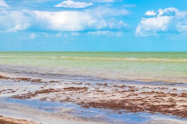Doğal manzara manzarası güzel Holbox adası kumsalı ve kumsalı Quintana Roo Mexico 'da turkuvaz su ve mavi gökyüzü.