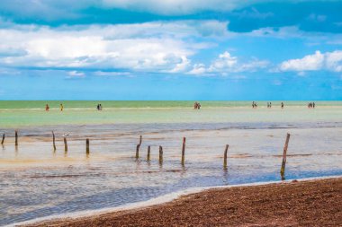 Holbox Meksika 22. Aralık 2021 Güzel Holbox adası kumsalının doğal manzara manzarası ve Quintana Roo Mexico 'da turkuvaz su ve mavi gökyüzü.