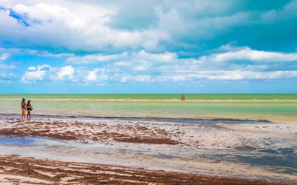 Holbox Meksika 22. Aralık 2021 Güzel Holbox adası kumsalının doğal manzara manzarası ve Quintana Roo Mexico 'da turkuvaz su ve mavi gökyüzü.