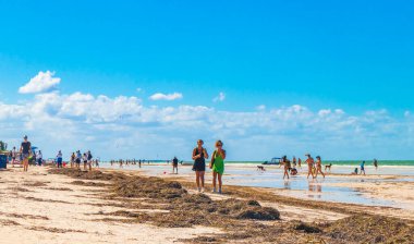 Holbox Meksika 22. Aralık 2021 'de Panorama manzarası güzel Holbox adası kumsalında ve sahilde dalgalar turkuaz su ve mavi gökyüzü Quintana Roo Mexico' da.