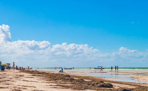 Holbox Mexico Desember 2021 Landskapsutsikt Panorama Vakre Holbox Island Sandbank – stockfoto