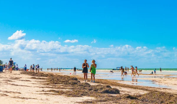 Holbox México Dezembro 2021 Panorama Vista Paisagem Bela Ilha Holbox — Fotografia de Stock