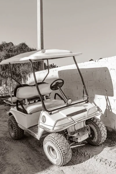 Vetores de Cor Brilhante Offroad Carro De Moto Para Colorir Página Livro  Infantil e mais imagens de Motocicleta - iStock