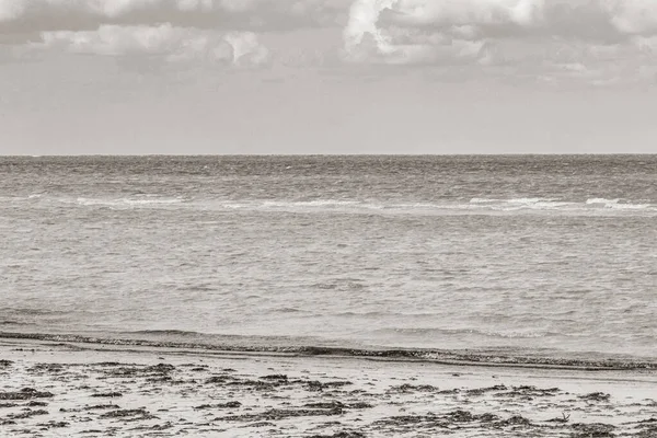 Черно Белое Изображение Природной Панорамы Видом Красивый Песчаный Берег Острова — стоковое фото