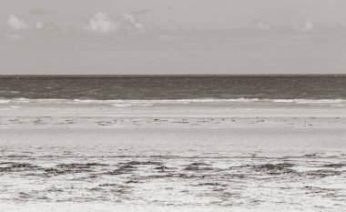 Güzel Holbox adası kumsalındaki doğal manzara manzarası ve Quintana Roo Mexico 'daki dalgalı sahil manzarası..