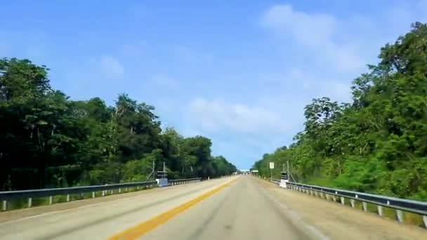 Autofahrt Auf Der Autobahn Dschungel Und Der Tropischen Natur Von — Stockvideo
