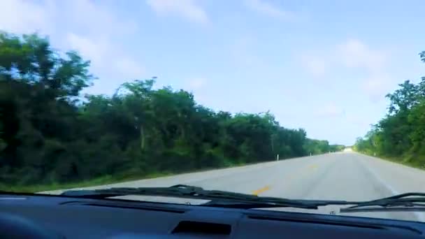 Jazda Autostradzie Dżungli Tropikalnej Naturze Playa Del Carmen Quintana Roo — Wideo stockowe