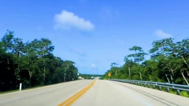 Conducerea Autostradă Junglă Natura Tropicală Playa Del Carmen Quintana Roo — Videoclip de stoc