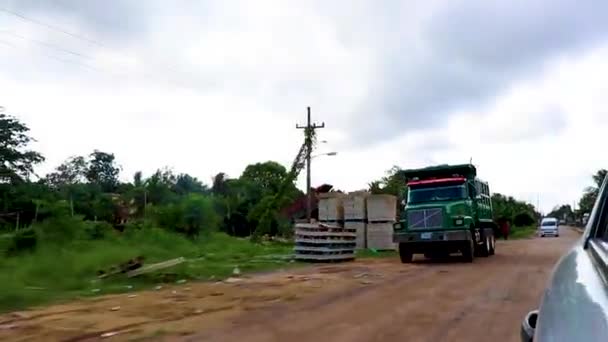 Guidare Camion Ribaltabile Camion Discarica Verde Nella Giungla Natura Tropicale — Video Stock