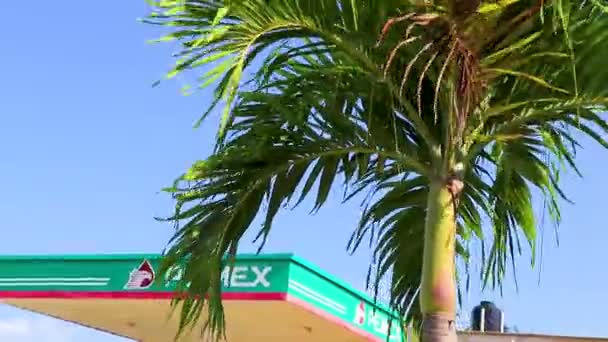 2021年12月21日墨西哥Chiquil Lzaro Crdenas蓝天背景的热带天然墨西哥棕榈树和Pemex加油站 — 图库视频影像