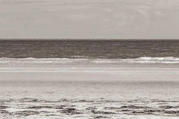 Черно Белое Изображение Природной Панорамы Видом Красивый Песчаный Берег Острова — стоковое фото