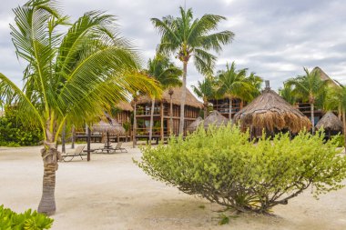 Quintana Roo Mexico 'daki güzel Holbox adasında kumlu yol yürüyüşü ve tropikal doğa manzarası.
