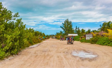 Holbox Meksika 22. Aralık 2021 Sandy çamurlu yol yürüyüşü yolu ve tropikal doğa manzaralı Quintana Roo Mexico 'daki güzel Holbox adasında.
