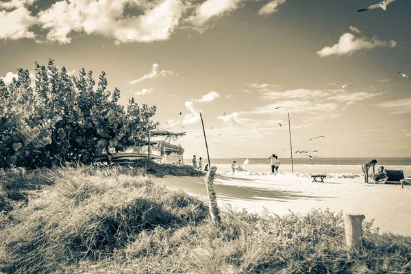 Holbox Mexico December 2021 Sort Hvidt Billede Panorama Landskabet Udsigt - Stock-foto