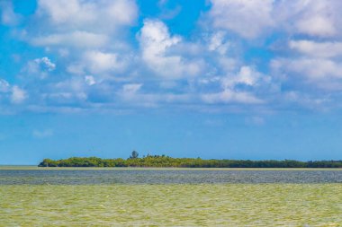 Feribottan manzaraya güzel Chiquila doğasına mavi bulutlu gökyüzü ve Quintana Roo Mexico 'daki turkuaz yeşil su ile.