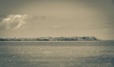 Feribottan, mavi bulutlu gökyüzü ve Quintana Roo Mexico 'daki turkuaz yeşil su ile rıhtımın etrafındaki güzel Chiquila doğasına kadar manzaranın siyah ve beyaz resmi..