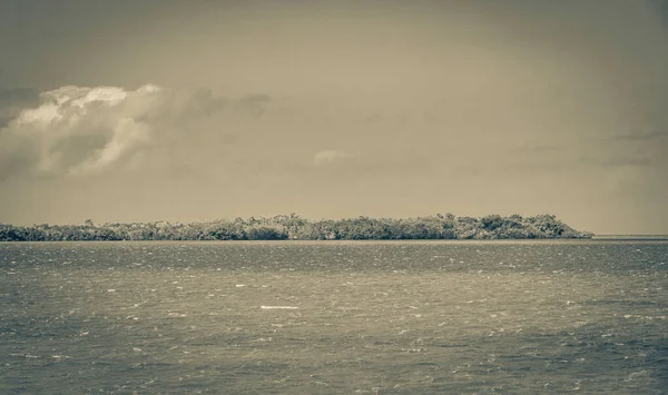 Feribottan, mavi bulutlu gökyüzü ve Quintana Roo Mexico 'daki turkuaz yeşil su ile rıhtımın etrafındaki güzel Chiquila doğasına kadar manzaranın siyah ve beyaz resmi..