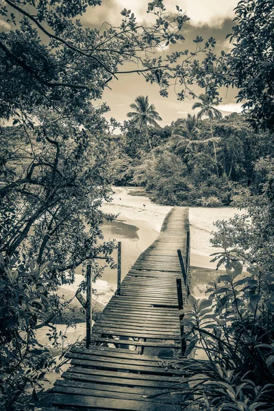 Черно Белая Фотография Удивительного Пляжа Мангроув Пляжа Пусо Деревянном Мостике — стоковое фото