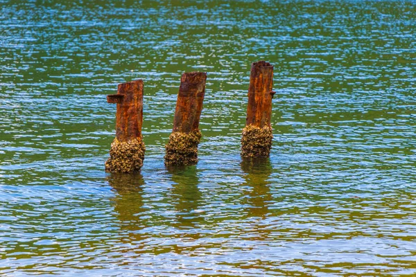 Wunderschöner Mangrovenstrand Und Pouso Strand Mit Holzpollern Auf Der Großen — Stockfoto