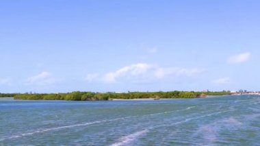 Quintana Roo Mexico 'da kumsaldaki doğal orman ve turkuaz su ile güzel Holbox adası manzarası.
