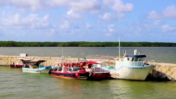 Meksikalı Chiquil Aralık 2021 Quintana Roo Mexico Daki Porto Chiquil — Stok video