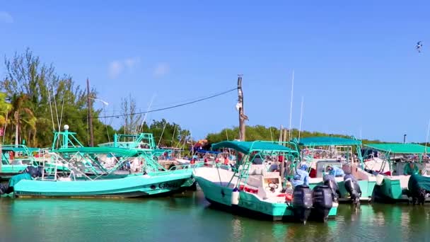 멕시코의 홀박스 2021 일아름다운 섬에서 바라본 파노라마 익스프레스 항구머 엘레데 — 비디오