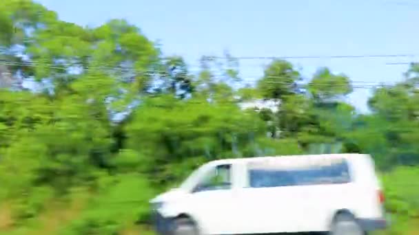 Conduite Sur Autoroute Autoroute Dans Jungle Nature Tropicale Mexique — Video