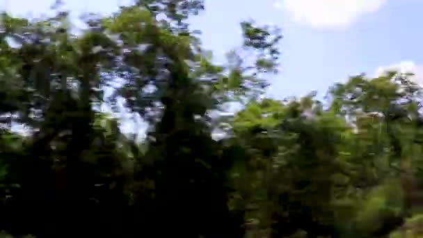 Rijden Snelweg Jungle Het Tropische Karakter Van Tulum Quintana Roo — Stockvideo