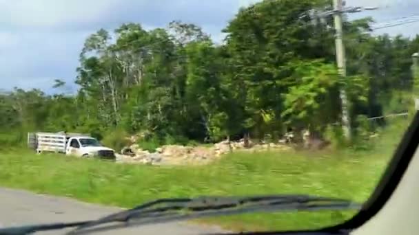 Driving Highway Jungle Tropical Nature Tulum Quintana Roo Mexico — Stock Video