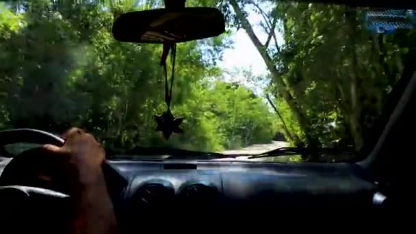 Conduire Sur Route Chemin Gravier Dans Jungle Nature Tropicale Tulum — Video