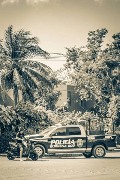 시계추 멕시코 2022 흰색으로 픽업트럭 도로와 경관을 — 스톡 사진