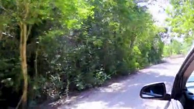 Ormandaki çakıllı yolda giderken Tulum Quintana Roo Mexico 'nun tropikal doğası.