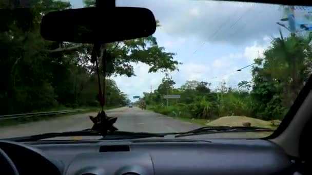 Rijden Snelweg Jungle Het Tropische Karakter Van Tulum Naar Muyil — Stockvideo