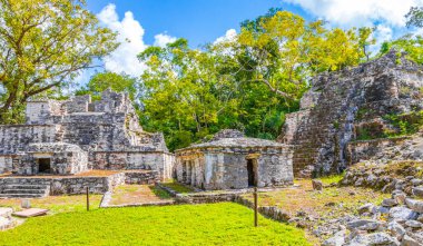 Tapınağı olan antik Maya bölgesi tropik doğal orman palmiyeleri ve Muyil Chunyaxche Quintana Roo Mexico 'daki yürüyüş yolları üzerindeki piramitleri ve eserleri harap eder..