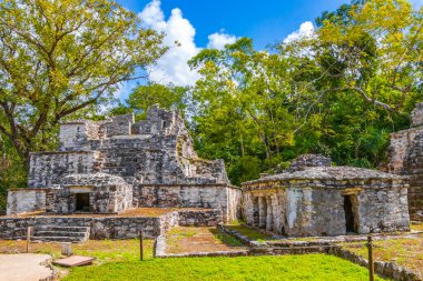 Tapınağı olan antik Maya bölgesi tropik doğal orman palmiyeleri ve Muyil Chunyaxche Quintana Roo Mexico 'daki yürüyüş yolları üzerindeki piramitleri ve eserleri harap eder..