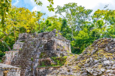 Tapınağı olan antik Maya bölgesi tropik doğal orman palmiyeleri ve Muyil Chunyaxche Quintana Roo Mexico 'daki yürüyüş yolları üzerindeki piramitleri ve eserleri harap eder..
