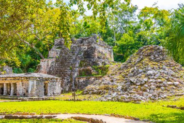 Tapınağı olan antik Maya bölgesi tropik doğal orman palmiyeleri ve Muyil Chunyaxche Quintana Roo Mexico 'daki yürüyüş yolları üzerindeki piramitleri ve eserleri harap eder..